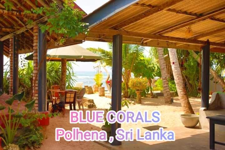 Blue Corals Beach Bungalow Matara Exterior photo