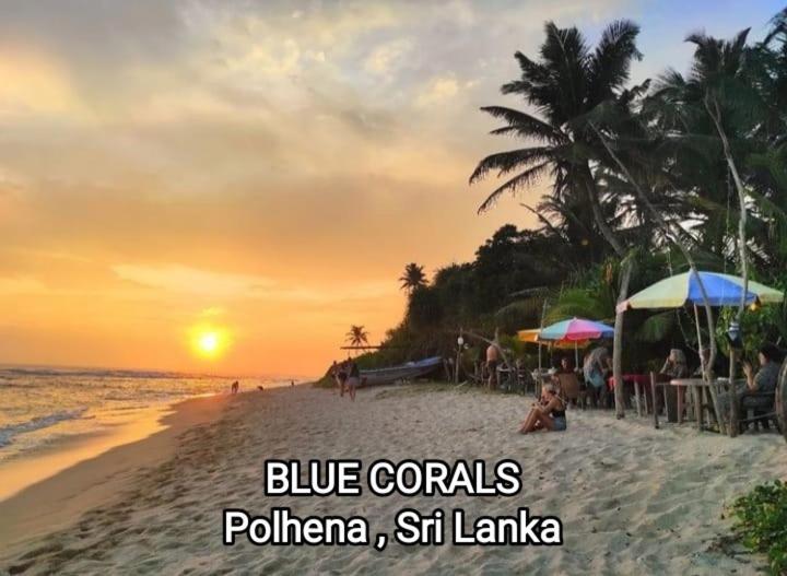 Blue Corals Beach Bungalow Matara Exterior photo