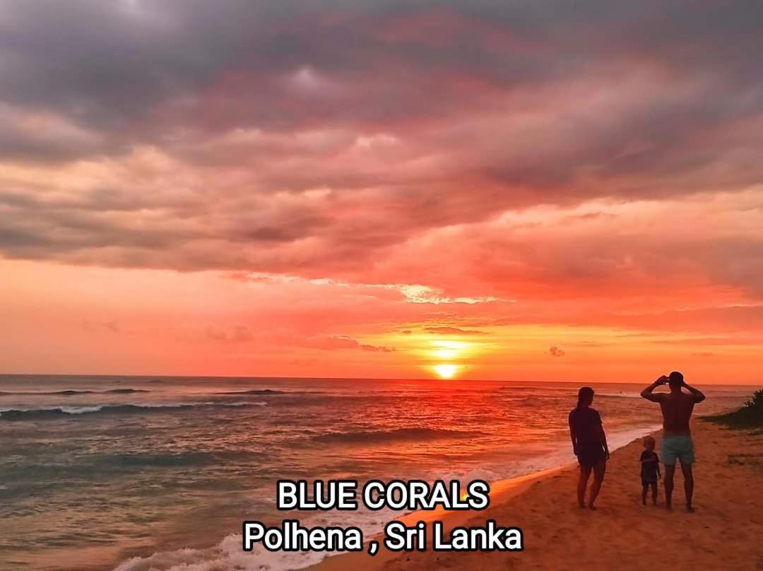 Blue Corals Beach Bungalow Matara Exterior photo