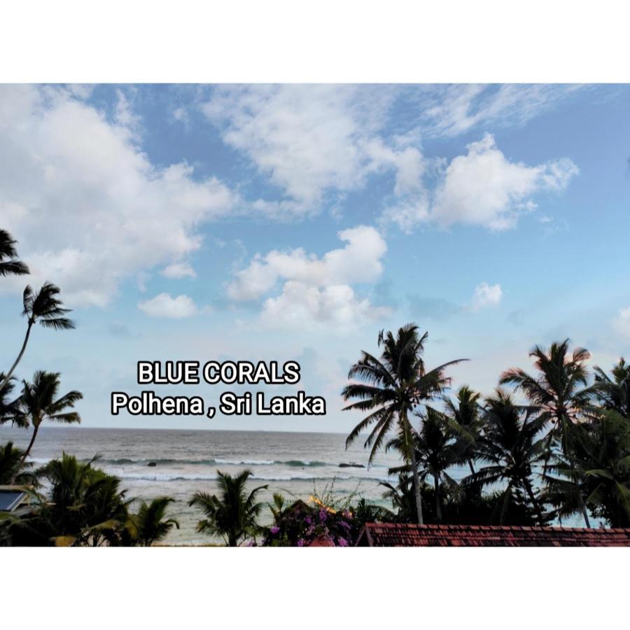 Blue Corals Beach Bungalow Matara Exterior photo