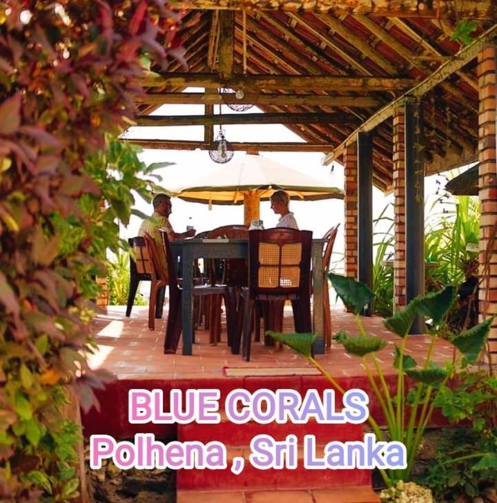 Blue Corals Beach Bungalow Matara Exterior photo