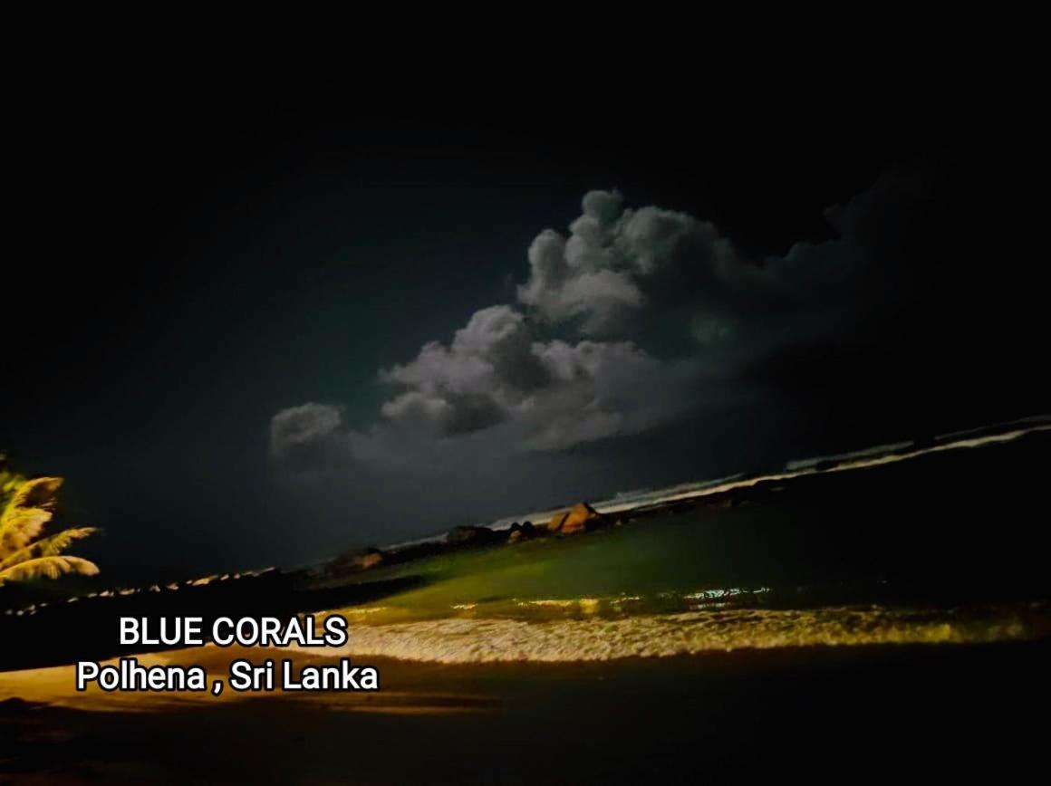 Blue Corals Beach Bungalow Matara Exterior photo