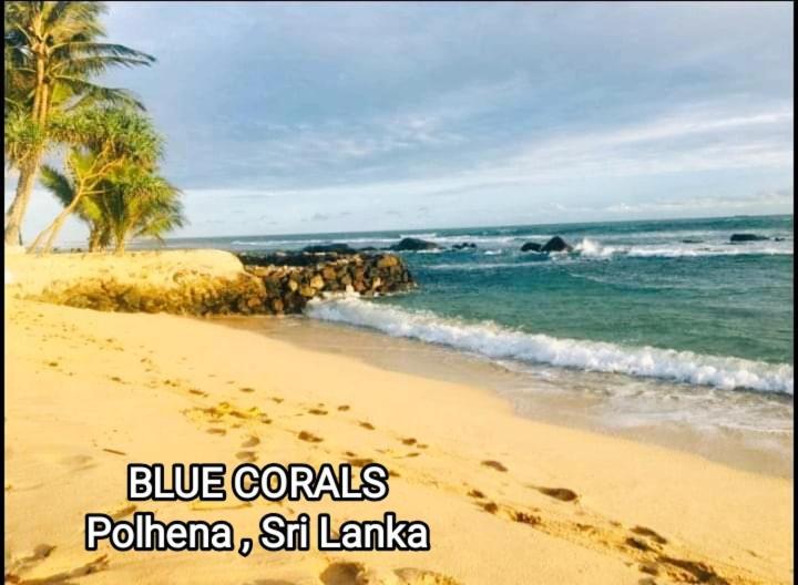 Blue Corals Beach Bungalow Matara Exterior photo