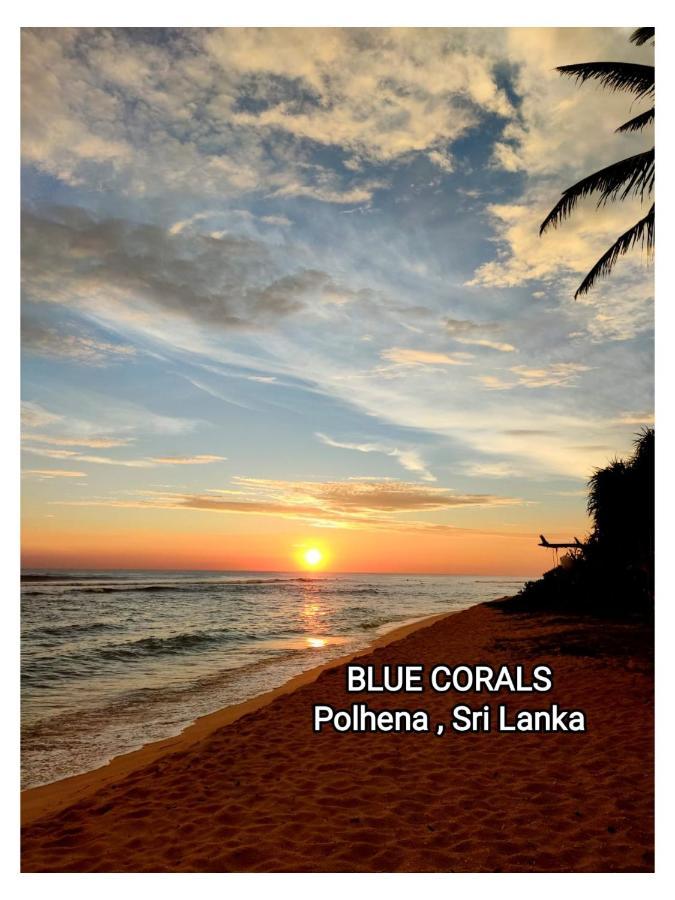 Blue Corals Beach Bungalow Matara Exterior photo
