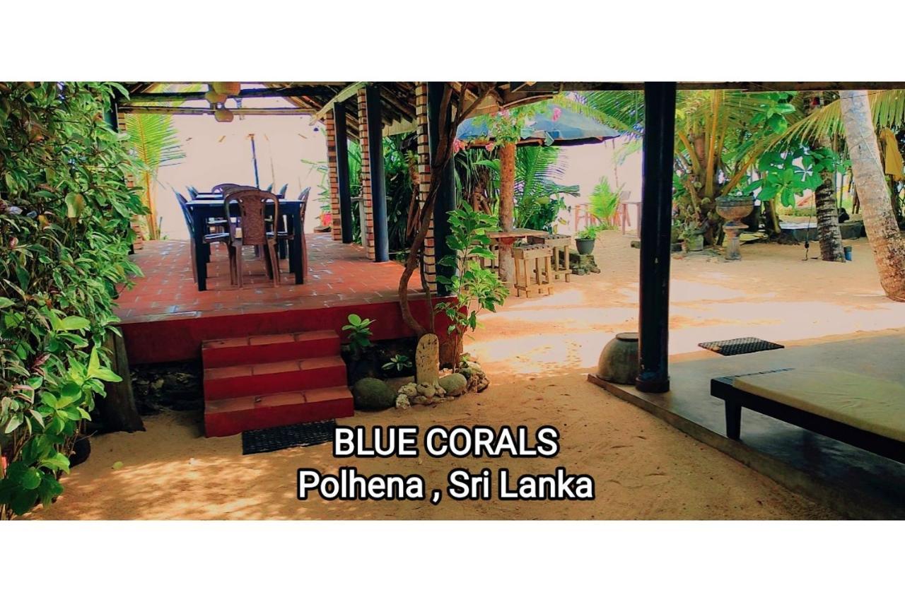 Blue Corals Beach Bungalow Matara Exterior photo