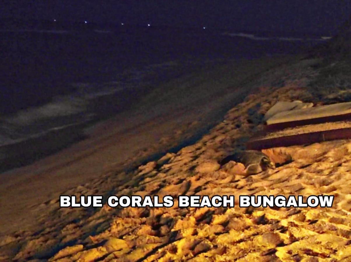 Blue Corals Beach Bungalow Matara Exterior photo